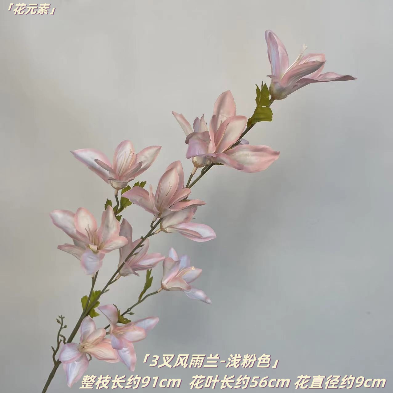 핑크