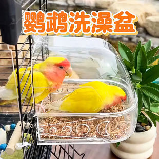 �W�^ϴ�����B��ԡ�����Pĵ��ϴ��������ӷ��Rԡ������ʽιʳ��