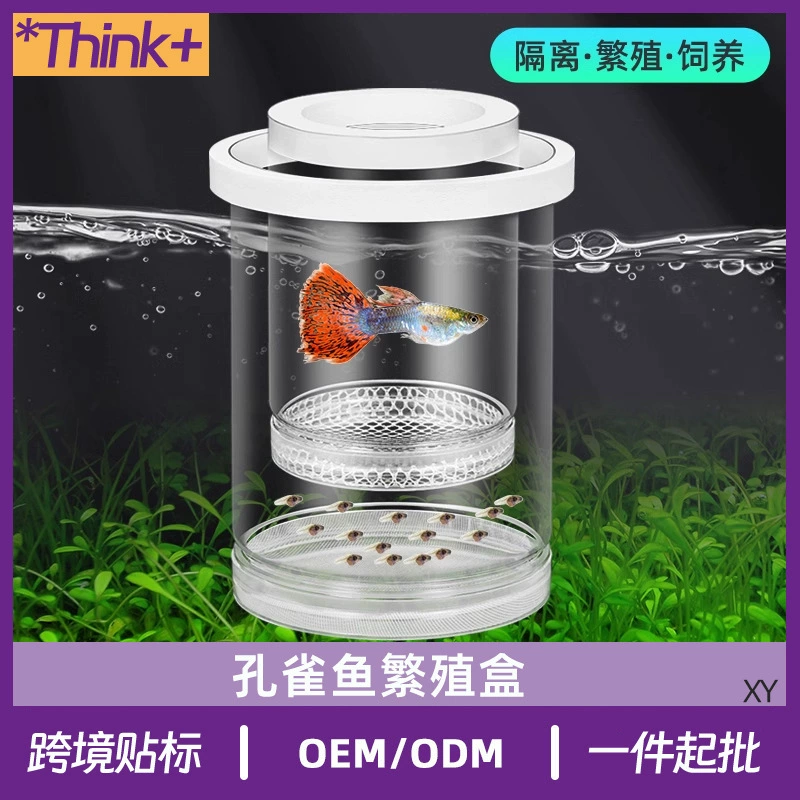 Изолирующий ящик для аквариума, ящик для разведения гуппи, родильная комната для самки зебры с хвостом феникса, небольшой аквариум, нерест и вылупление живородящих рыб