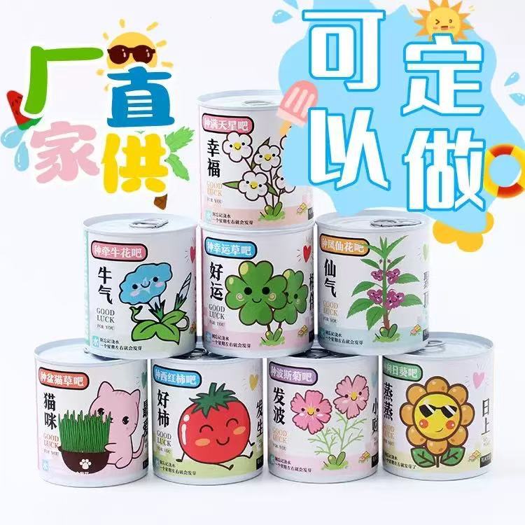 Children's Green Plant Planting Blessing Small Potted Plants Blind Box Flower Farmer Kindergarten Primary School Students Plant Growth Germination Seed Jar