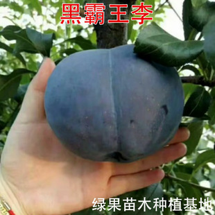 �ڰ����� ������ ������� �޽������ڌ�ʯ�ڲ������ӹ�����