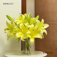 黄天霸香水百合鲜花云南昆明基地百合花直发水养真花家庭插花切花
