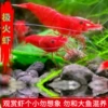 Креветка Jihuo 5 шт.