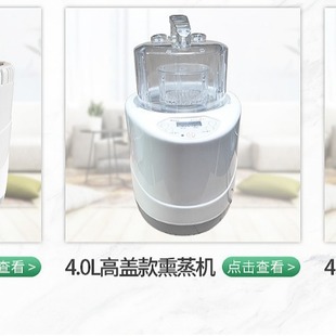 In-Stock Manufacturer 2.6L Sauna Steam Machine for Home Use, Bath Box, Medicinal Steamer, Sweat Steamer, Fumigation Device, Fumigation Machine