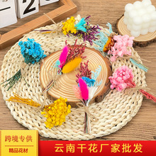 ����С���»�������ɻ�mini����diy���ֶYƷ�M�������˹��b���