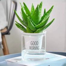 �����J�C�����҃ȃ����՚�Gֲ���k����������ļ����B����������