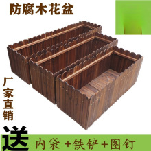 ����ľ�����ش��L���λ����̨�N����̼����ľ�řڷNֲ����⻨��