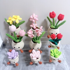 完成品の越境多肉植物の金のなる木盆栽、手編みの植木鉢、毛糸の造花、家庭やオフィスデスクの装飾品