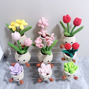 Finished Cross-Border Succulent Money Tree Bonsai Handmade Knitted Flower Pot Plant Yarn Artificial Flower Home Office Desk Decoration