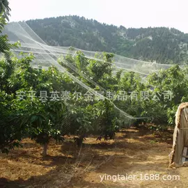 工农业塑料;其他安全网;其他塑料网