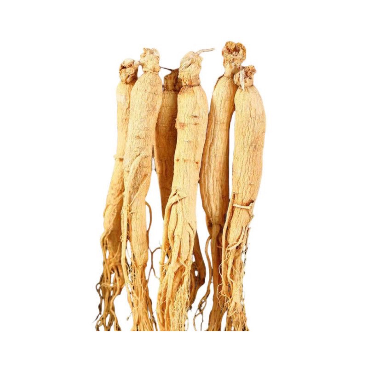 Changbai Mountain 10-Year Fresh Ginseng (Panax ginseng) — 500g for Soup & Wine specifications