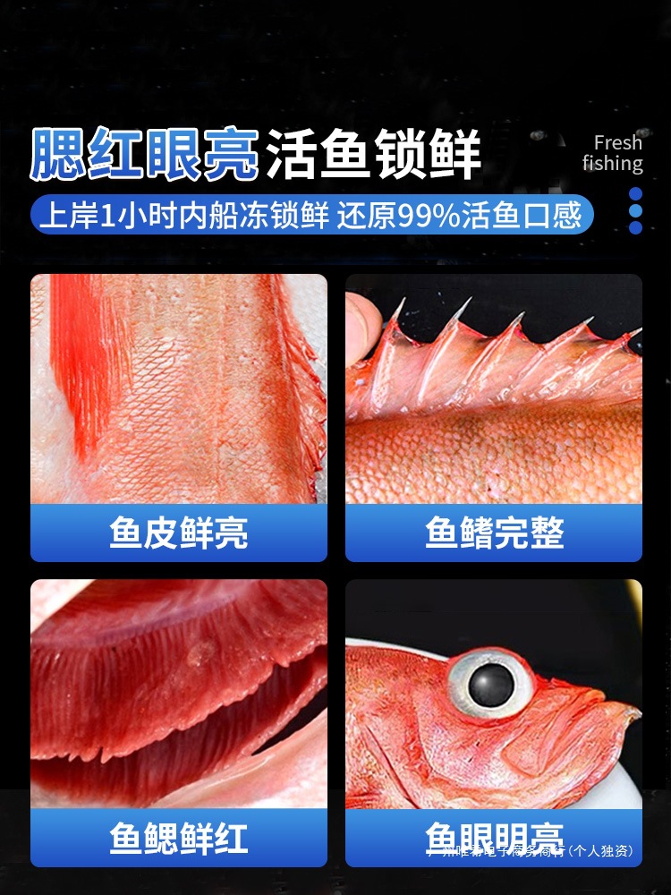 红石斑鱼鲜活冷冻野生超大深海新鲜海鱼10斤小东星斑九公海鲜水产