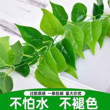 �����ٗl�G�}�~���ϼٻ��b��҃ȾG����ֲ��٘��~�ڒ��ړ��G�~��