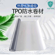 熱塑性聚烯烴TPO防水卷材 TPO防水卷材源頭廠家 加筋P型防水材料