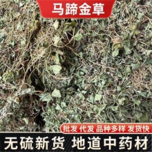 马蹄金草中药材荷包草 黄胆草小金钱草螺丕草小马蹄草化石草批发
