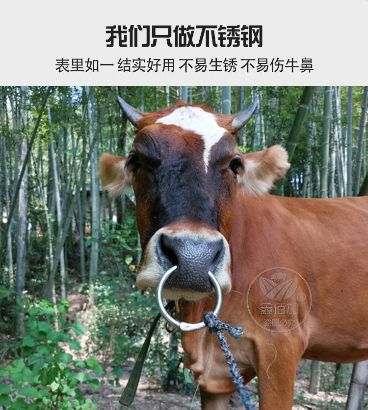 不锈钢牛鼻圈CA详情页 (5).jpg