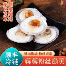 粉丝扇贝新鲜冷冻大号半壳黄金扇贝蒸粉丝海鲜烧烤半成品冷冻扇贝