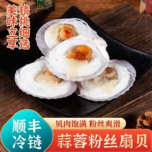 �۽z��ؐ���r�����̖�뚤�S����ؐ���۽z���r�������Ʒ�����ؐ