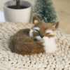 Sleeping Fox Left-Brown