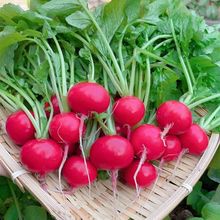 ����ˮ���t�}������ˮ�����}���������һ��һ�����r�}���r���}��