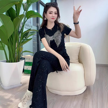 �߼����ع������C荺�ɫ����T��2025�ļ��¿�����ѝ�ɼ���Ů