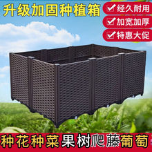 �Nֲ��N�˼�ͥ�̨���ͥԺ�������L���λ������ϻ�����ÏSE18