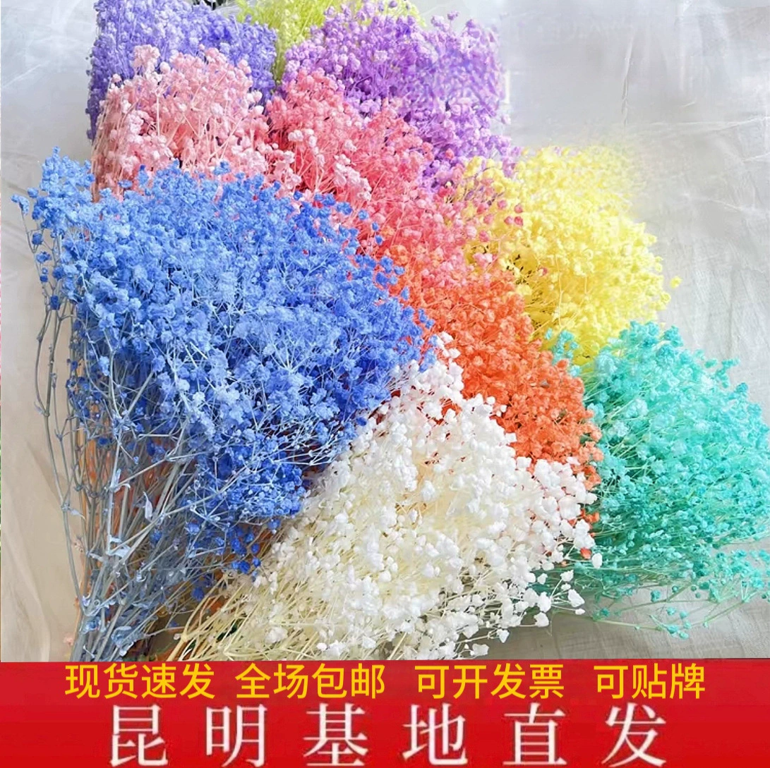 [【A级漂白满天星】梦幻星永生花装饰花束DIY材料 云南基地直销]