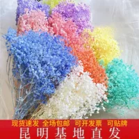 [【A级漂白满天星】梦幻星永生花装饰花束DIY材料 云南基地直销]
