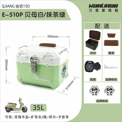 Motorcycle trunk — box - qianjiang-beimubai-510p-matcha-green-lining-double-brown-backrest