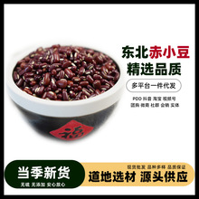���l���۳�С��޲�׳ඹ޲�����͌��t��޲�ײ���ӹ�һ�����l�s�Z