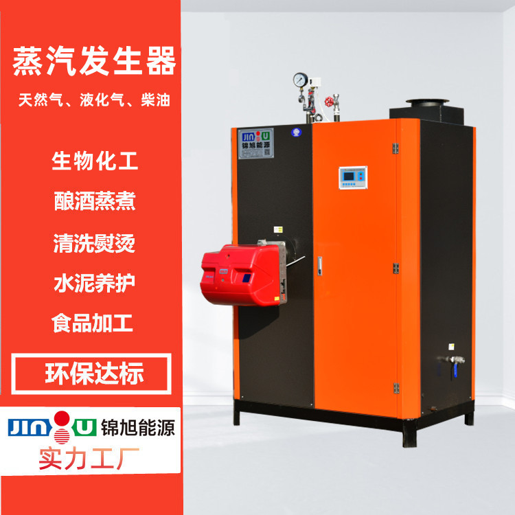立式燃气锅炉 天然气蒸汽发生器  无烟环保 免复杂手续炉300kg 全