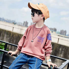 Boys' Sweatshirt Spring and Autumn Medium-Size Casual Loose Top 2023 New Children's Korean Version Autumn T-shirt Long Sleeve