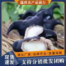 ���ں������������r����10���l���]3������5�������������ʳ��