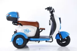 其他电动车;电动三轮车;三轮车