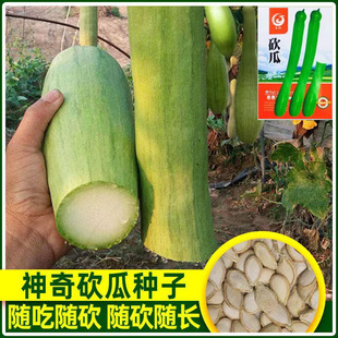 ���ϷN�� ��������ļ��r���ϹϷN�ѷN���ļ��Ϲ��˷N��