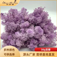 ����30g̦�\�Z¹�\ɺ������̦DIY�ֹ����΢���^������̦�\����