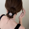 Fashionable advanced hair rope with letters, elite ponytail, high-quality style, 2023 collection, simple and elegant design