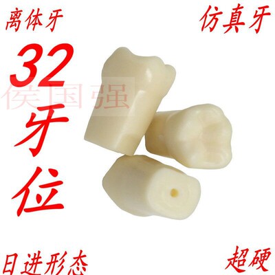 考试验练习开髓腔牙备牙模型仿真牙散粒牙牙体制备窝洞根管离牙科