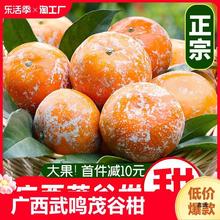 广西武鸣茂谷柑新鲜脏脏柑橘子沃柑10斤当季水果整箱柑桔大尝鲜