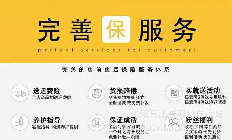 微信图片_20200824221030