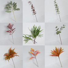 ����Gֲ�����ȼ����~�� 3D���X�~ާ�~�L�ٴ����Iާާ� ���mֲ��