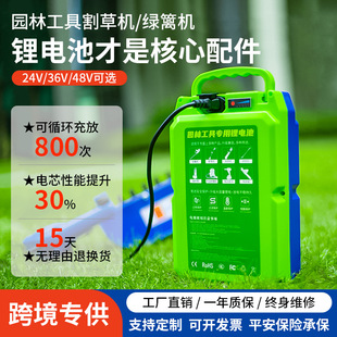 48V��ݙC늳�24V30AH�G�h�C�ɲ�C21��늄ӹ��߱�ؓʽ�����늳�
