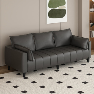 Cat Claw Leather Casual No-Wash Small Apartment Living Room Apartment Rental House Barber Shop Double Three Person Color Matching Sofa