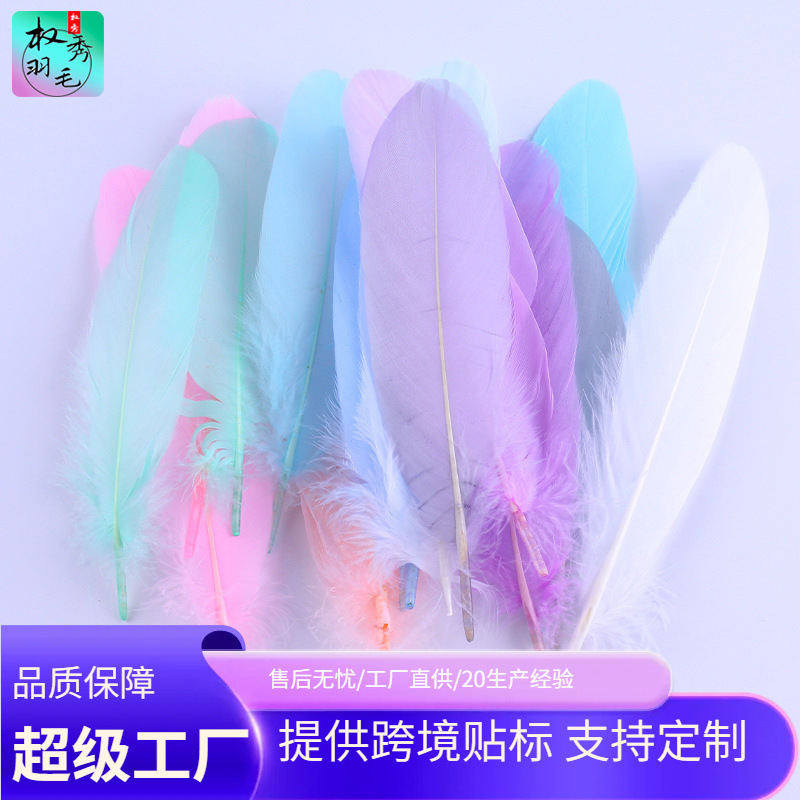 厂家批发贝衣毛羽毛鹅毛diy手工饰品配件工艺品猫玩具装饰羽毛
