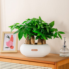 ��܎���ϼӺ��֬�����������w���滨���ɫ�̨�p��ϲ�c�tɫ����