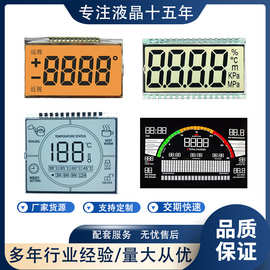 厂家专业定制 段码屏温控显示器LCD液晶屏 VA断码屏 小尺寸段码屏