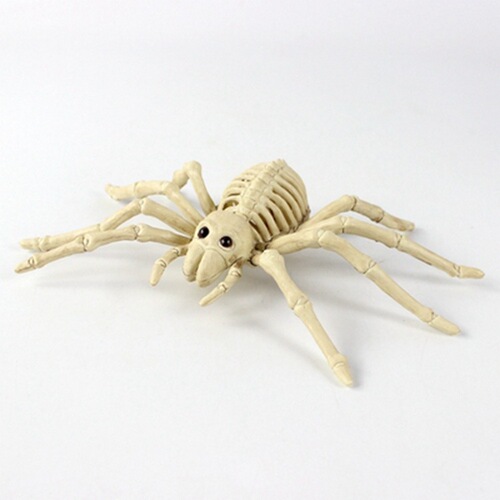Halloween horror skeleton animal skeleton bat spider scorpion mouse snake haunted house decoration props toad skeleton