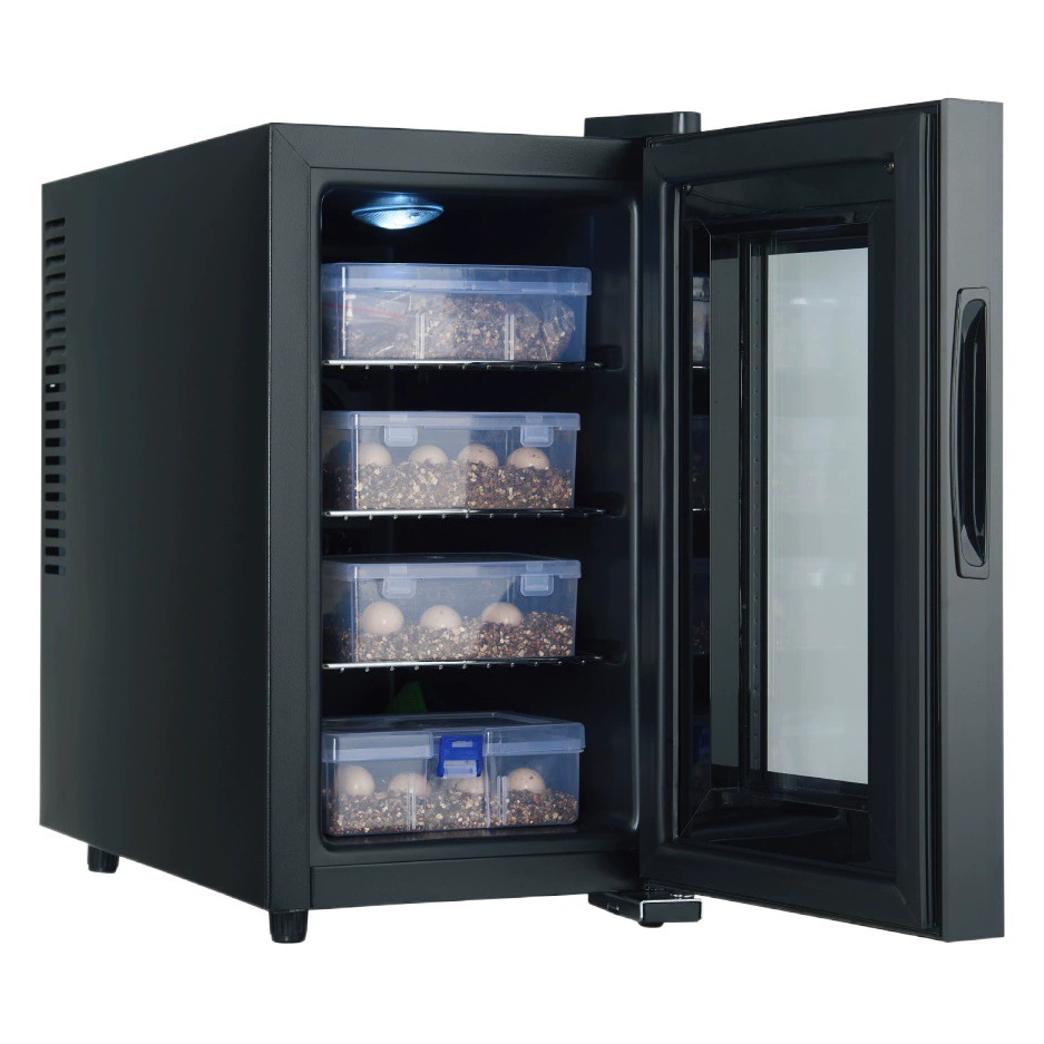 Привет играть в лазай питомца инкубатор черепахи