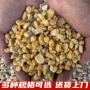 市政铺路透水庭院胶粘石