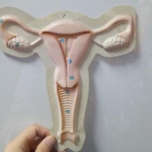 ��ͯ�����������  ��ӡ��λ���ܮ� ���w����